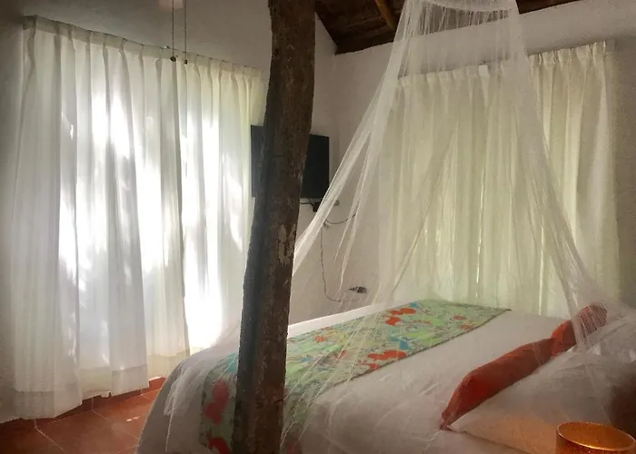 Hotel Collection O Ecovergel Boutique In Tulum Chemuyil