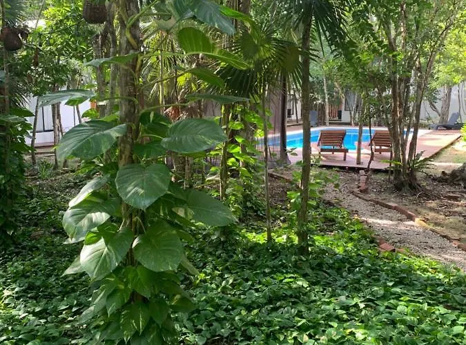Collection O Ecovergel Boutique In Tulum Balcheil