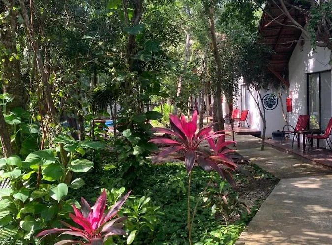 Collection O Ecovergel Boutique In Tulum 4* Chemuyil
