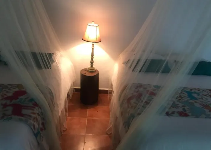 Hotel Collection O Ecovergel Boutique In Tulum