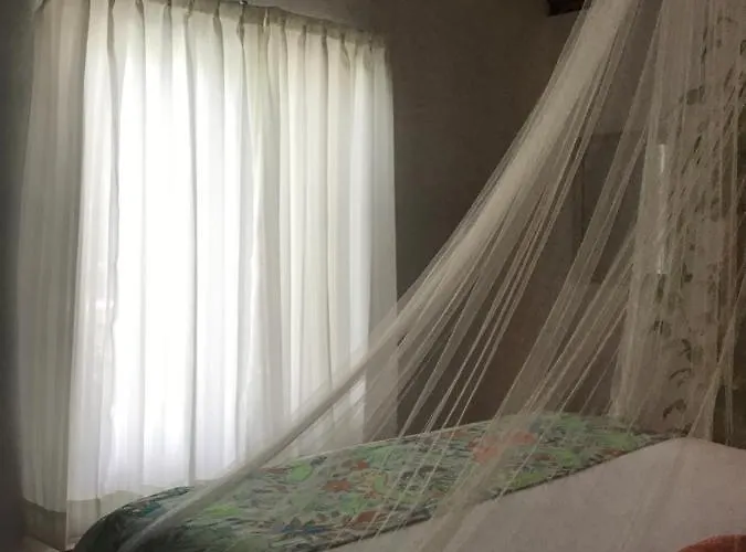 Hotel Collection O Ecovergel Boutique In Tulum