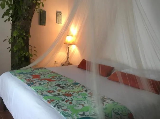 Hotel Collection O Ecovergel Boutique In Tulum