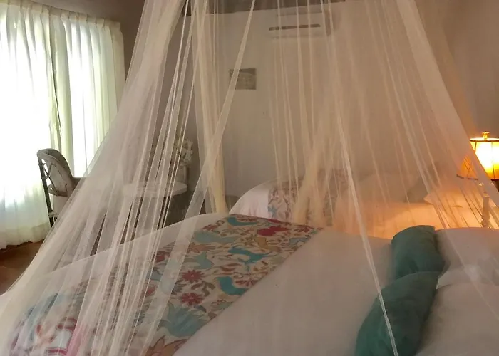 Collection O Ecovergel Boutique In Tulum 4* Chemuyil