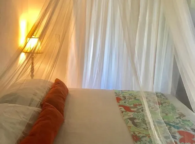 Hotel Collection O Ecovergel Boutique In Tulum Balcheil