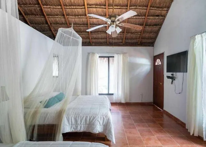Collection O Ecovergel Boutique In Tulum Hotel