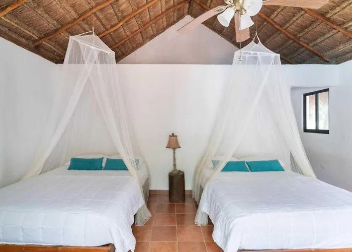 Hotel Collection O Ecovergel Boutique In Tulum